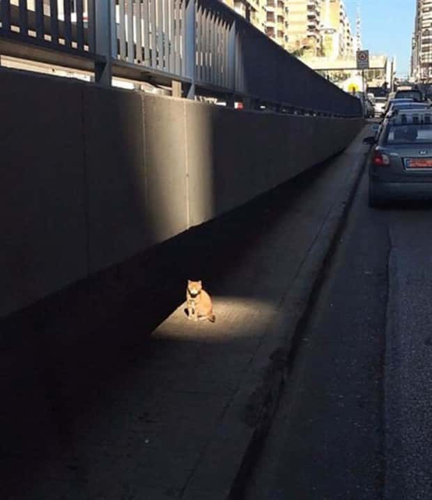 Awesome Pictures You Shouldn’t Miss #200 (18 photos)