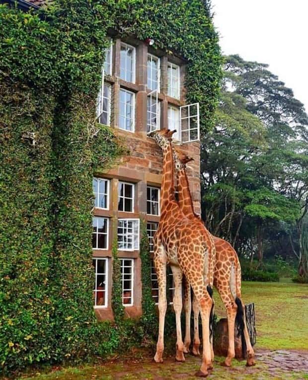 awesome photos 6 Awesome Pictures You Shouldn’t Miss #199 (19 photos)