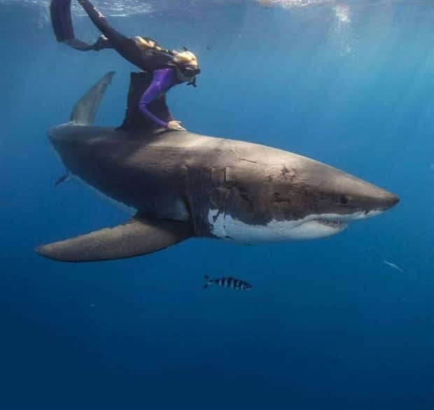 awesome photos 8 2 Awesome Pictures You Shouldn’t Miss #201 (20 photos)