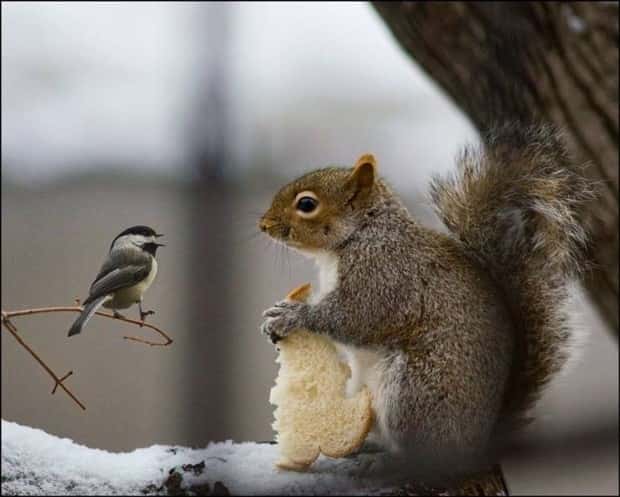 awesome photos 8 Awesome Pictures You Shouldn’t Miss #199 (19 photos)