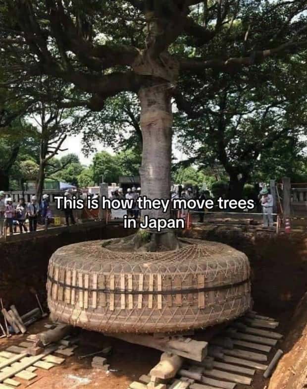 Awesome Pictures You Shouldn’t Miss #202 (24 photos)