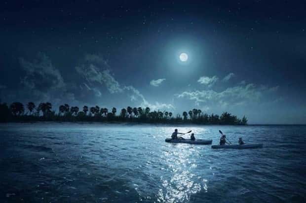 Awesome Pictures You Shouldn’t Miss #202 (24 photos)