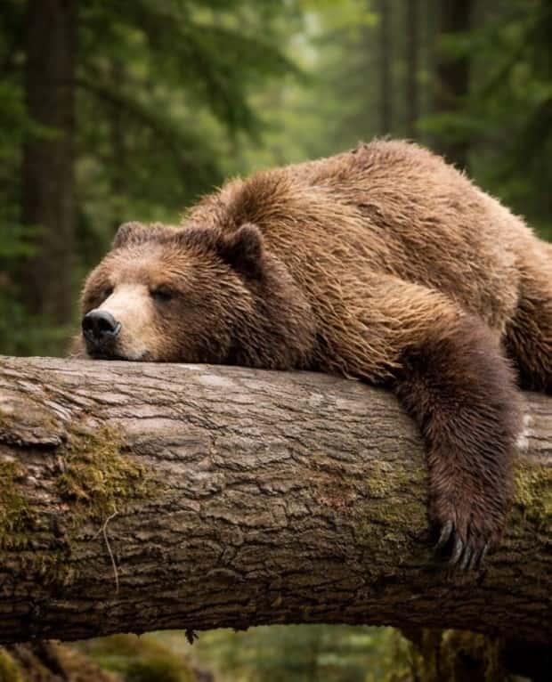 Awesome Pictures You Shouldn’t Miss #202 (24 photos)