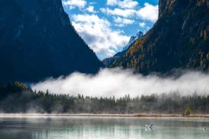 Awesome Pictures You Shouldn’t Miss #202 (24 photos)