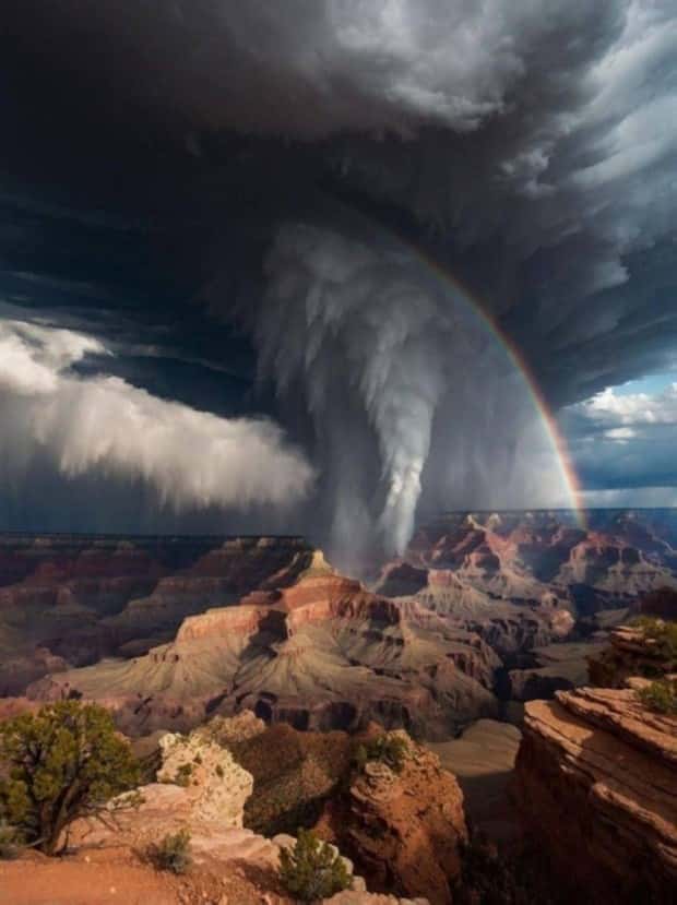 Awesome Pictures You Shouldn’t Miss #202 (24 photos)