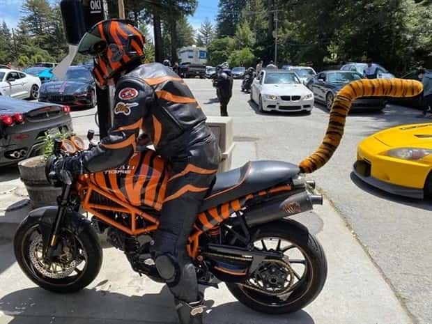 22 Images of Skill Paired With Questionable Taste (22 photos)
