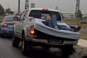 20 People Having Trouble with Common Sense (20 photos)