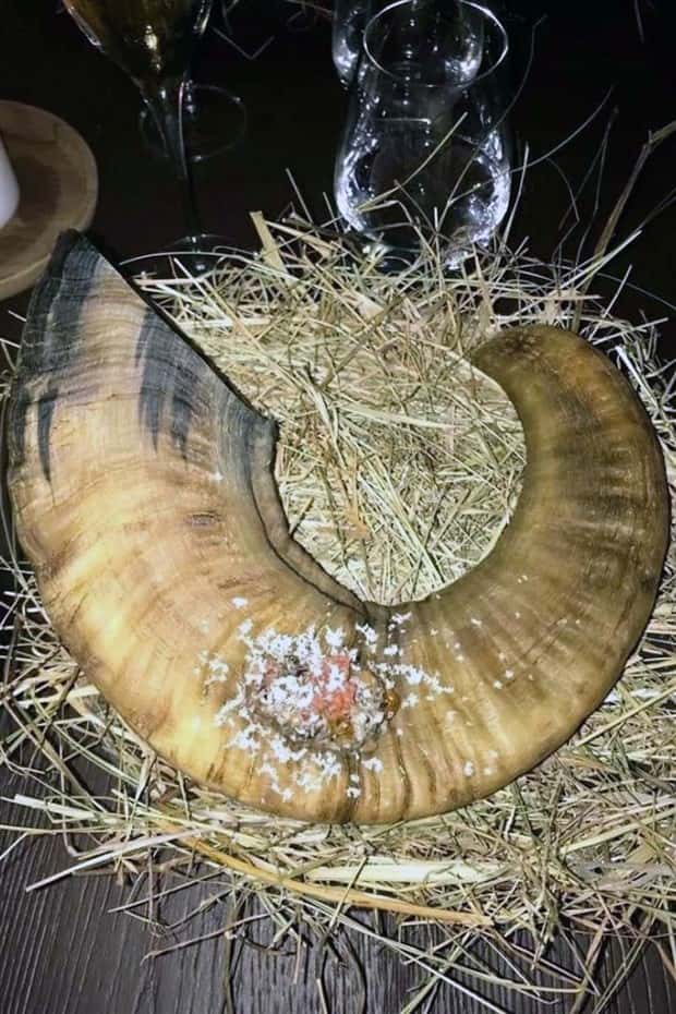 Very Strange Food Serving Ideas #32 (23 photos)