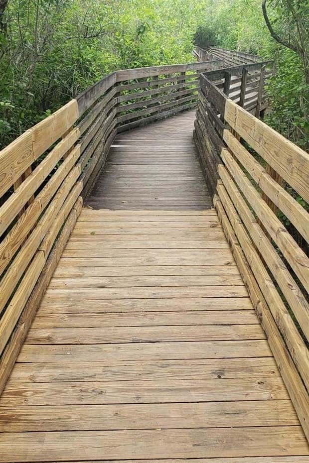 Oddly Satisfying Deep Cleaning Visuals #8 (22 photos)