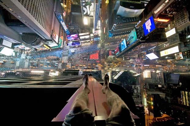 25 Pics That Instantly Trigger Fear Of Heights (25 photos)