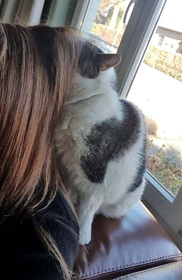 Get Ready for Funny Animals #432 (23 photos)