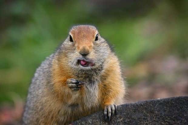 Get Ready for Funny Animals #432 (23 photos)