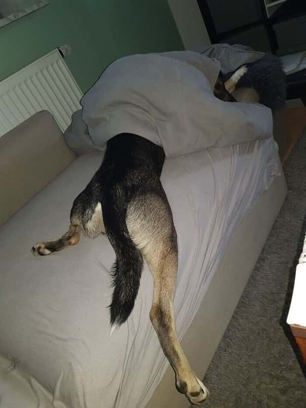 Get Ready for Funny Animals #432 (23 photos)