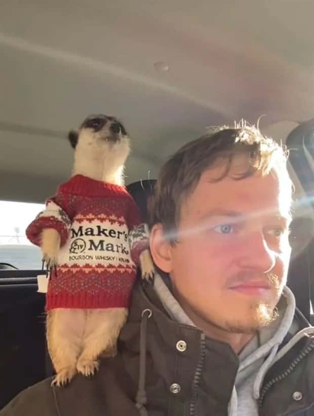 Get Ready for Funny Animals #435 (19 photos)