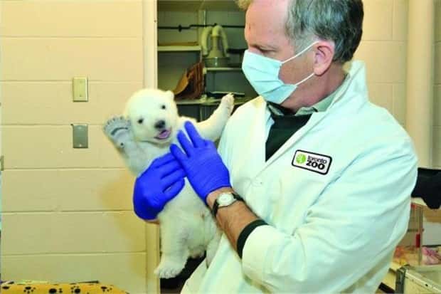 Get Ready for Funny Animals #433 (24 photos)