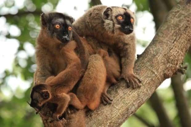 Get Ready for Funny Animals #433 (24 photos)