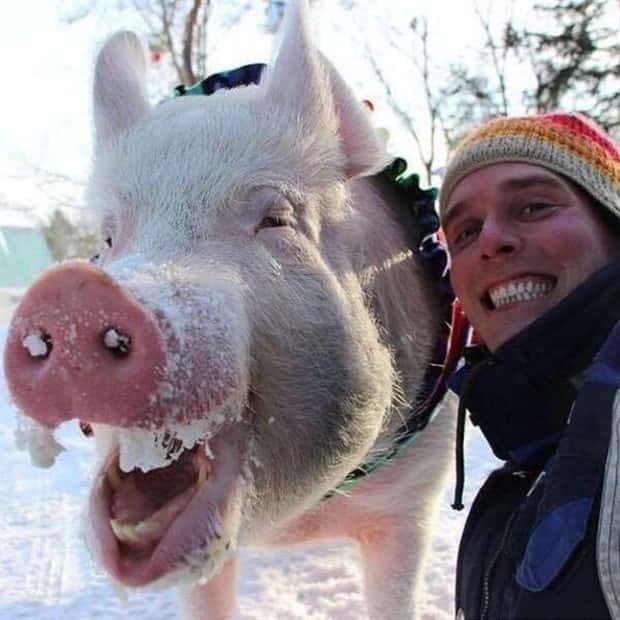 Get Ready for Funny Animals #434 (20 photos)