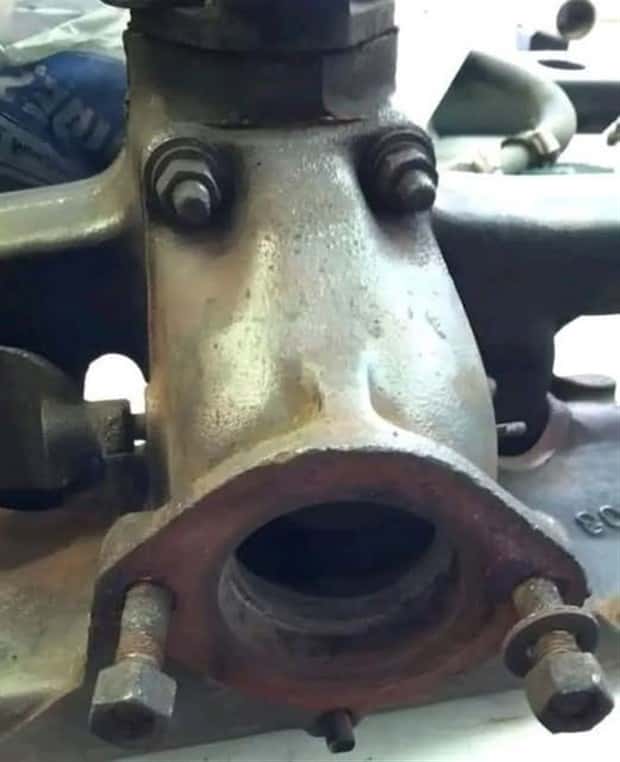 funny faces 1 There are Funny Faces Everywhere #9 (22 photos)