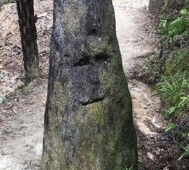 funny faces 16 There are Funny Faces Everywhere #9 (22 photos)