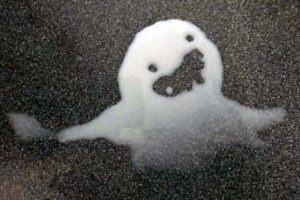 There are Funny Faces Everywhere #9 (22 photos)