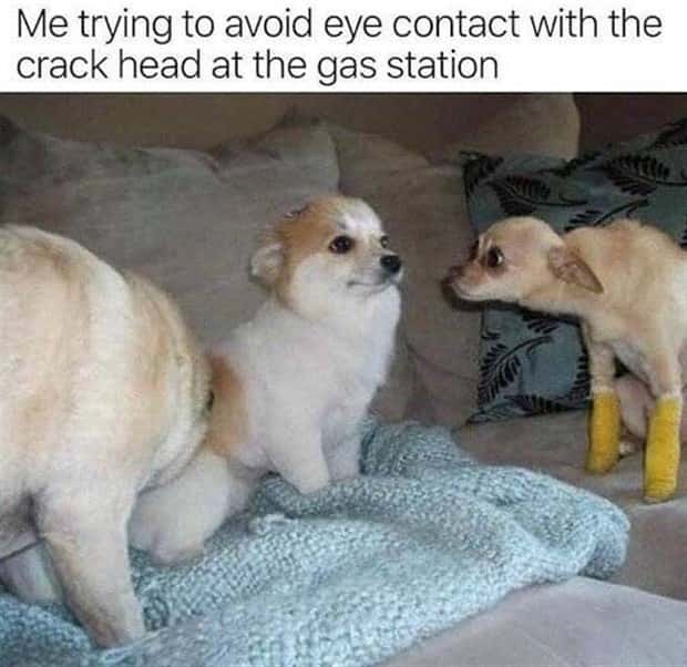 Funny Pics and Memes to Make You Laugh #201 (24 photos)