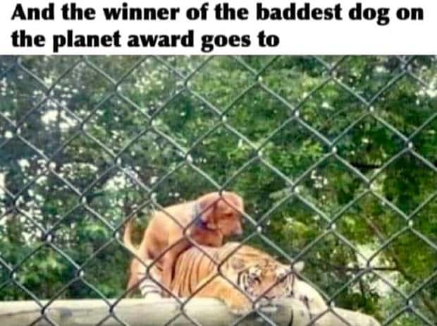 Funny Pics and Memes to Make You Laugh #201 (24 photos)