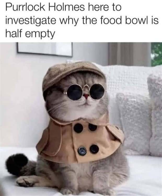 Funny Pics and Memes to Make You Laugh #202 (23 photos)