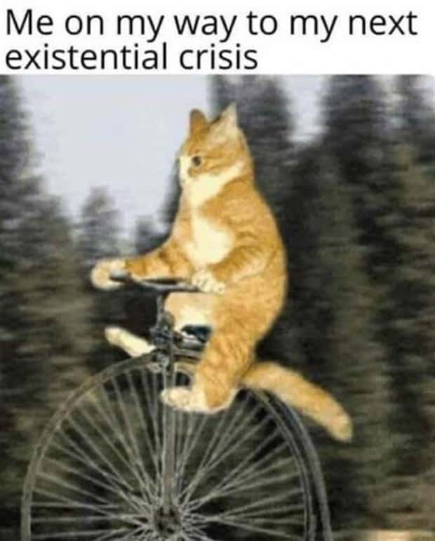 Funny Pics and Memes to Make You Laugh #204 (19 photos)
