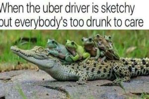 Funny Pics and Memes to Make You Laugh #204 (19 photos)