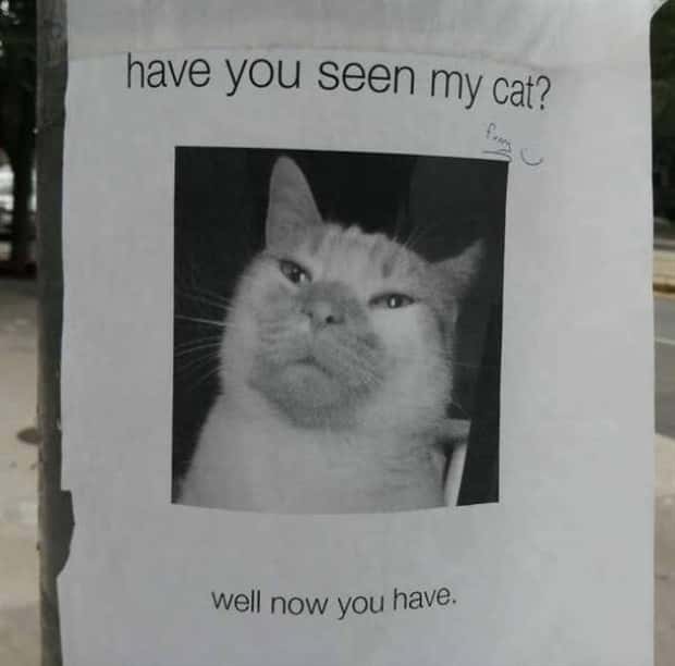 Funny Pics and Memes to Make You Laugh #202 (23 photos)