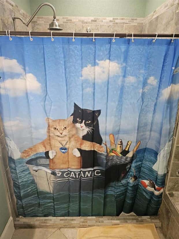 Shower Curtains Are Judgmental Bathroom Art (39 photos)