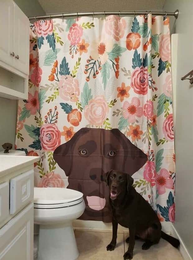 Shower Curtains Are Judgmental Bathroom Art (39 photos)