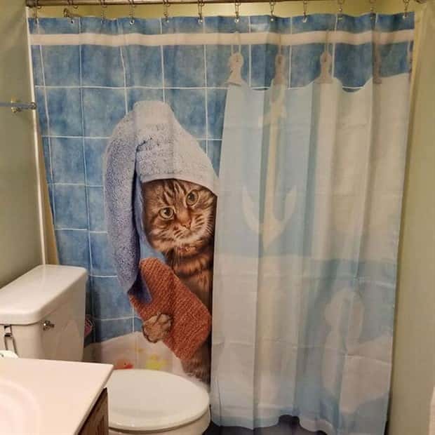Shower Curtains Are Judgmental Bathroom Art (39 photos)