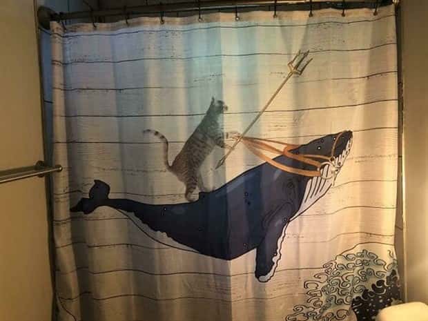 Shower Curtains Are Judgmental Bathroom Art (39 photos)