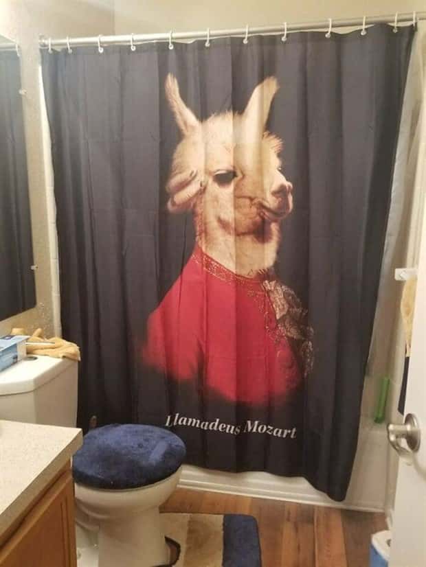 Shower Curtains Are Judgmental Bathroom Art (39 photos)