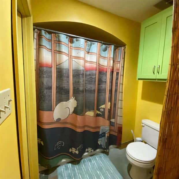 Shower Curtains Are Judgmental Bathroom Art (39 photos)