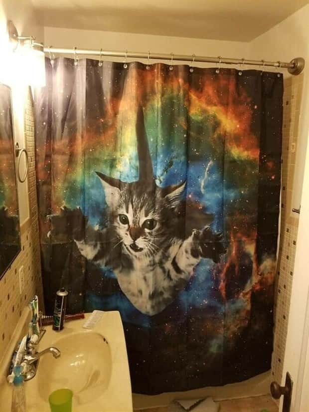 Shower Curtains Are Judgmental Bathroom Art (39 photos)