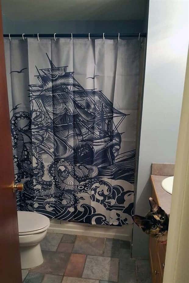 Shower Curtains Are Judgmental Bathroom Art (39 photos)