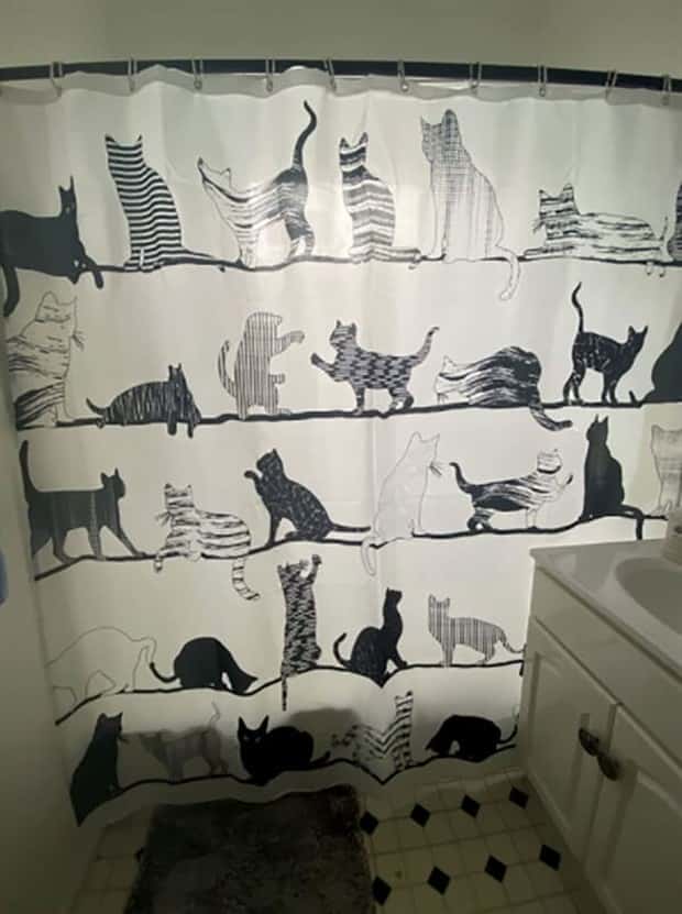 Shower Curtains Are Judgmental Bathroom Art (39 photos)