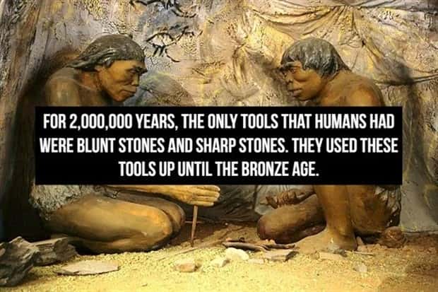 Crazy Historical Facts For Curious Minds (29 photos)