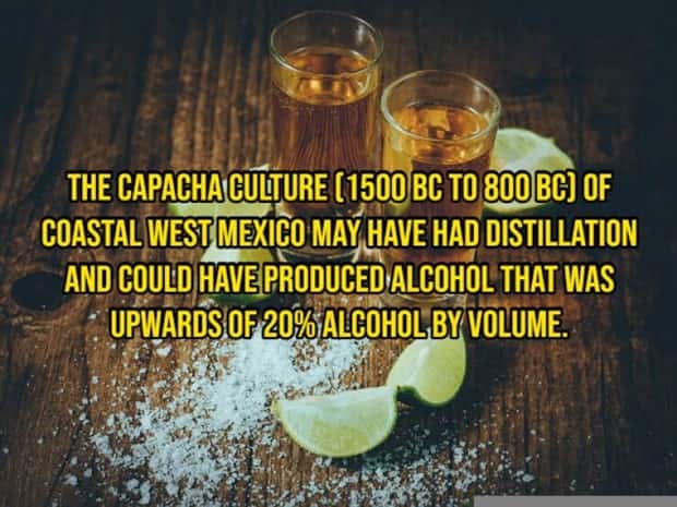 Crazy Historical Facts For Curious Minds (29 photos)