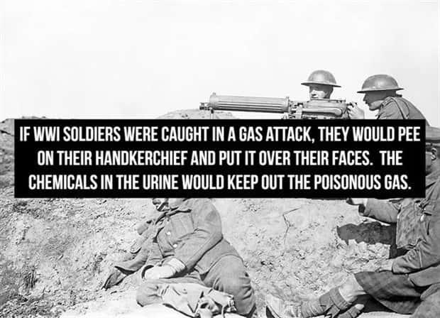 Crazy Historical Facts For Curious Minds (29 photos)