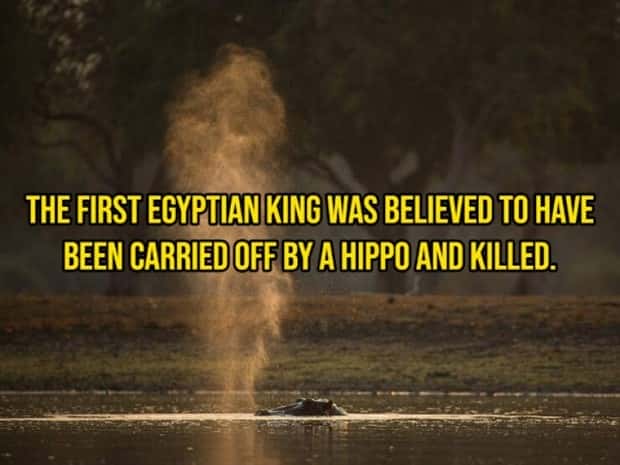 Crazy Historical Facts For Curious Minds (29 photos)