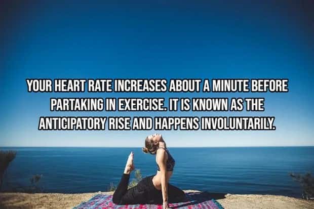 Incredible Human Body Facts You Should Know (15 photos)