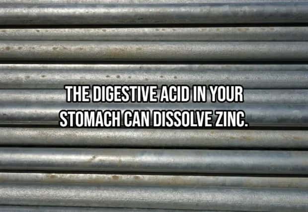 Incredible Human Body Facts You Should Know (15 photos)