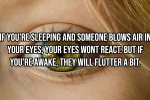 Incredible Human Body Facts You Should Know (15 photos)