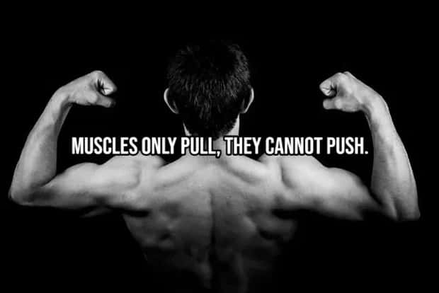 Incredible Human Body Facts You Should Know (15 photos)