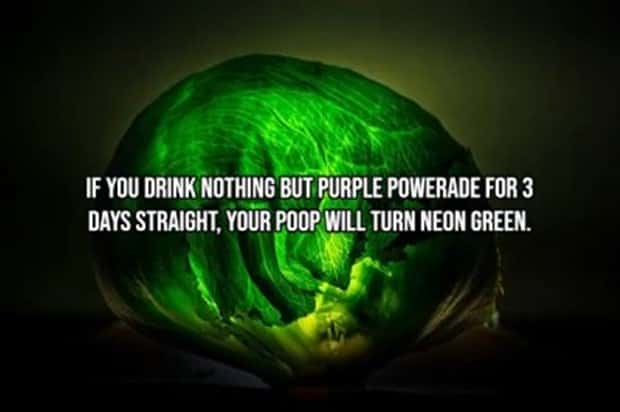 Incredible Human Body Facts You Should Know (15 photos)