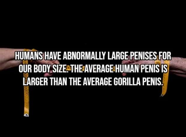 Incredible Human Body Facts You Should Know (15 photos)