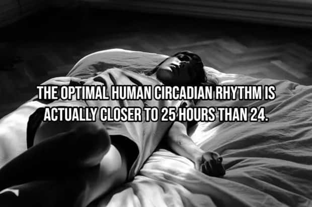 Incredible Human Body Facts You Should Know (15 photos)